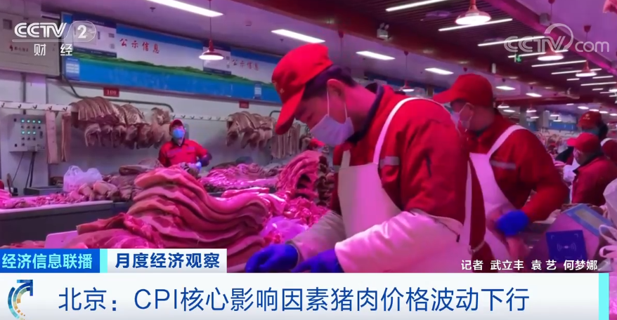 CPI核心影响因素猪肉价格波动下行