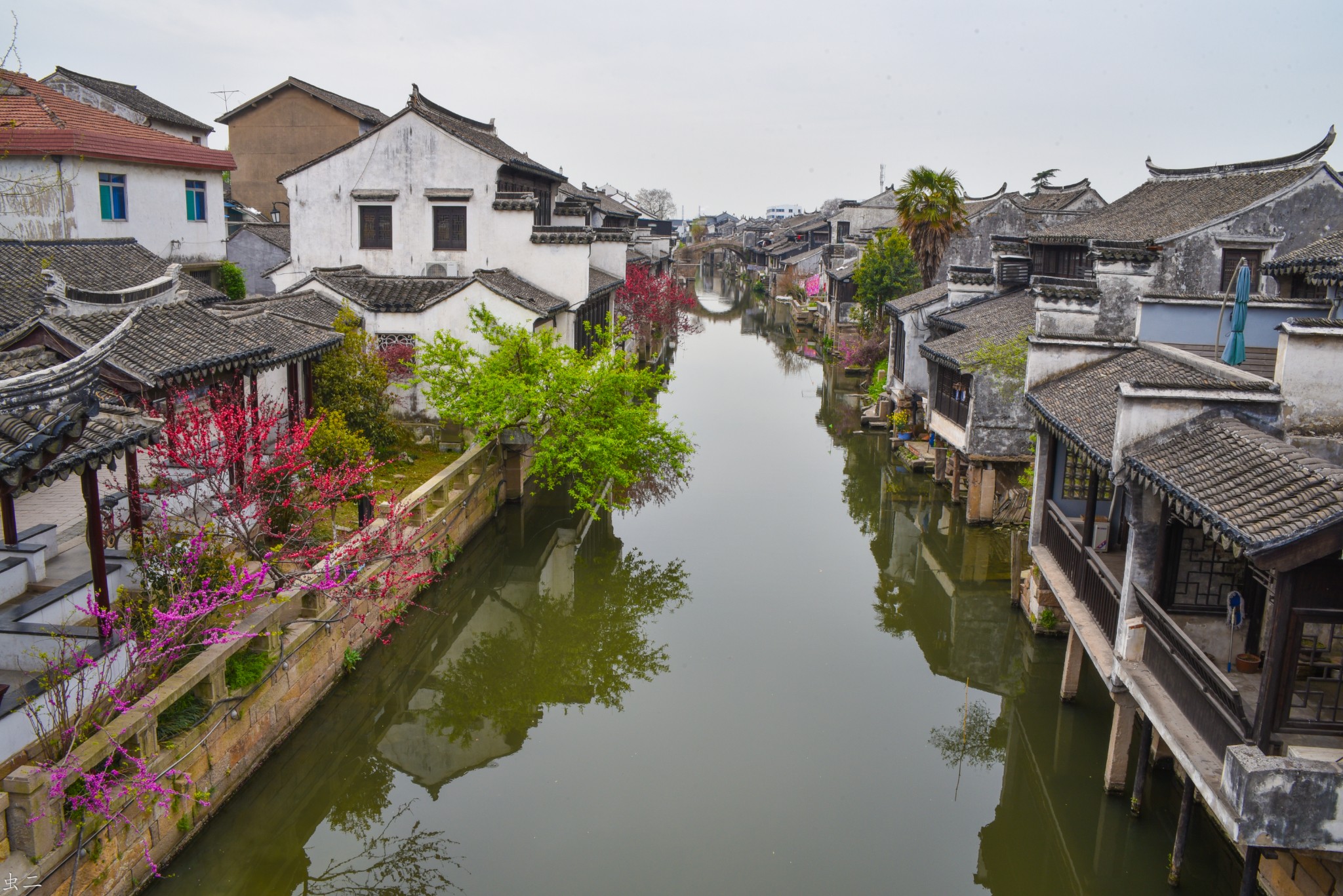 太仓旅游（太仓旅游必去十大景点）