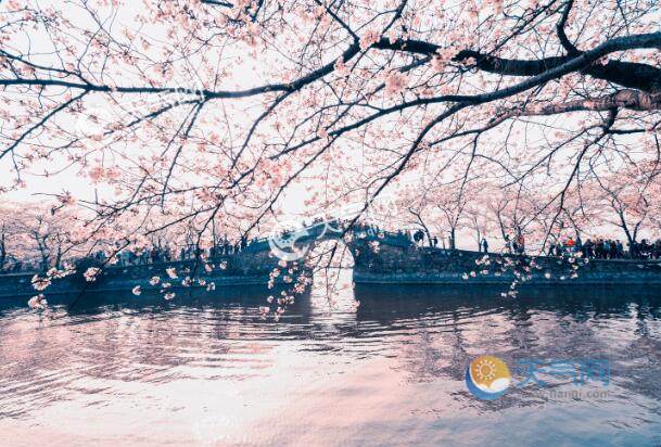 {百家樂}(5月去哪里旅游最好国内) {百家樂}(5月去哪里旅游最好国内)