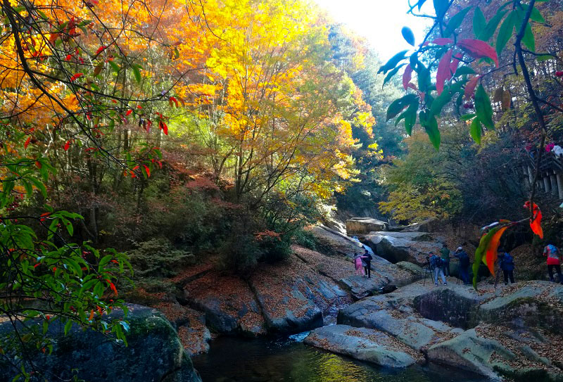 {壹葡}(光雾山旅游路线图攻略)
