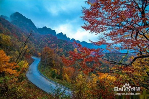 {壹葡}(光雾山旅游路线图攻略)